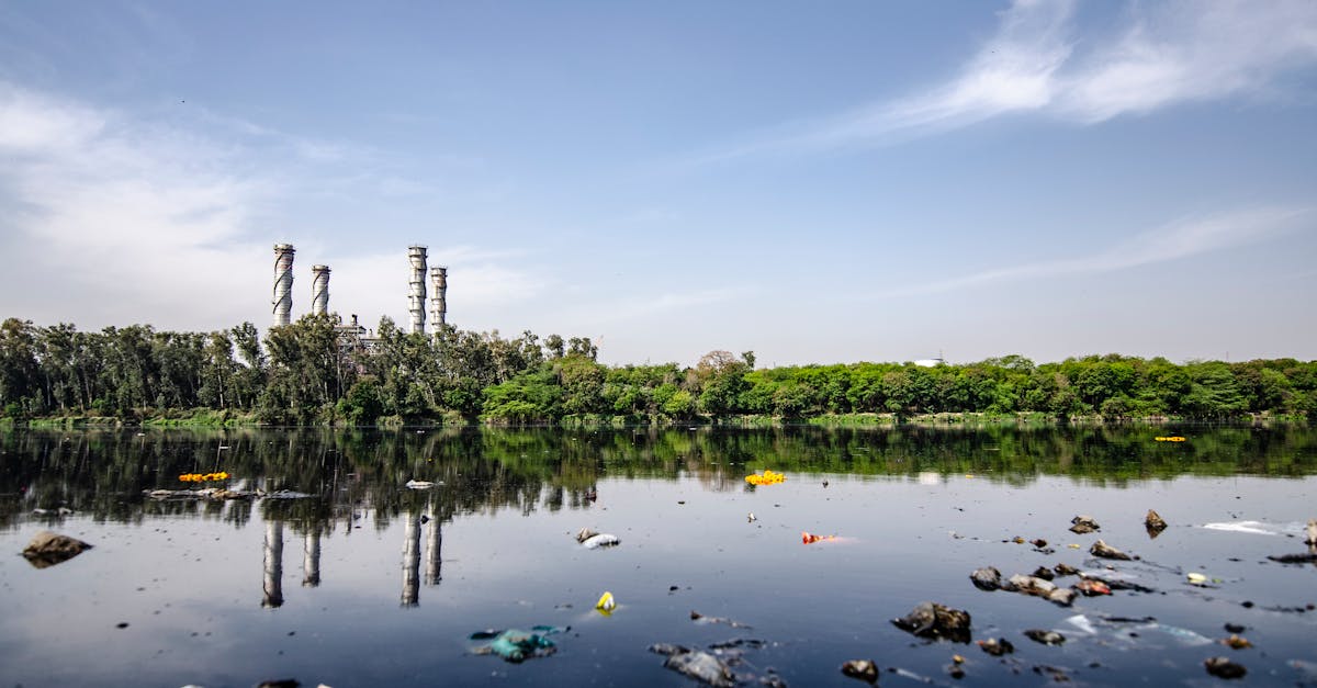 découvrez les enjeux cruciaux liés à l'impact environnemental, explorez les conséquences de nos actions sur la planète et apprenez des solutions durables pour préserver notre écosystème.