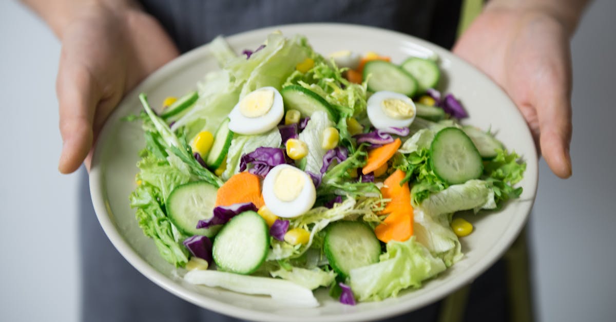 découvrez la nutrition : conseils pratiques, science accessible et idées de repas pour une alimentation équilibrée, énergie durable et bien-être au quotidien.